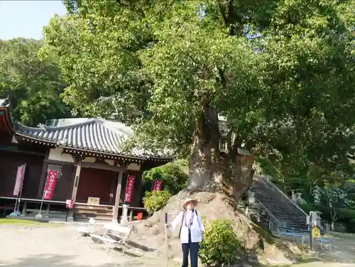 神恵院の建物その他