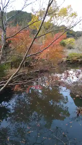 観心寺(大阪府)