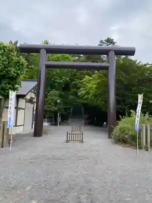千歳神社の鳥居