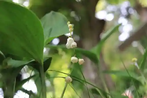 鹿島大神宮の庭園