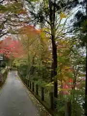 日枝神社(岐阜県)