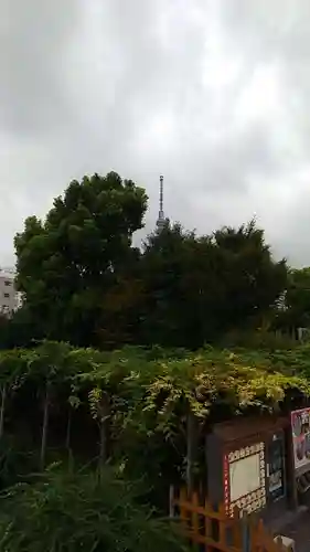 亀戸天神社の景色