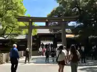 明治神宮(東京都)