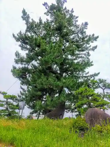 安法寺の周辺
