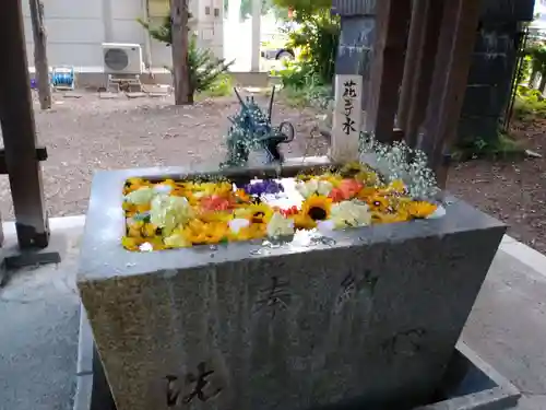 札幌諏訪神社の手水舎