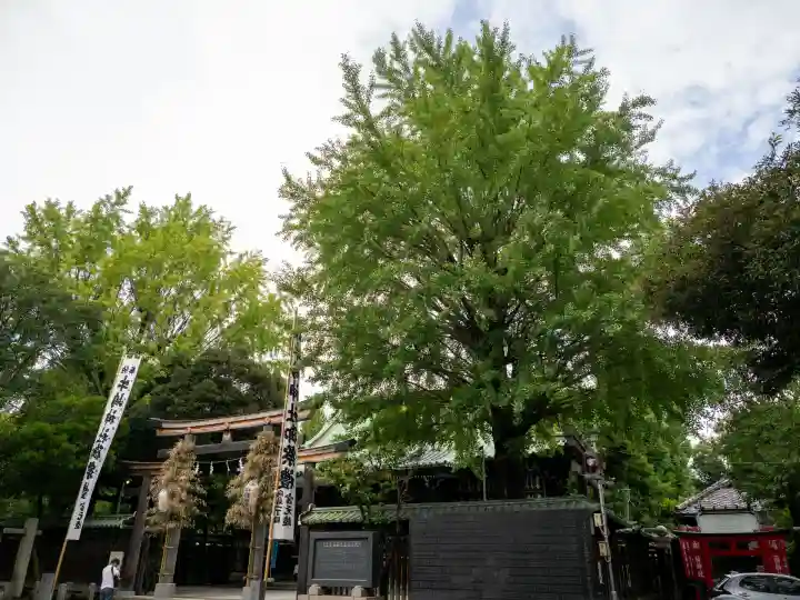 牛嶋神社のお祭り