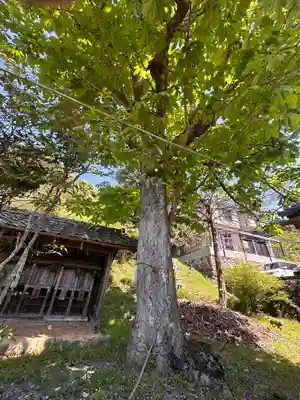 日吉神社(京都府)