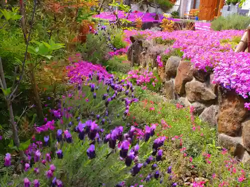 寿量山　速成寺の自然