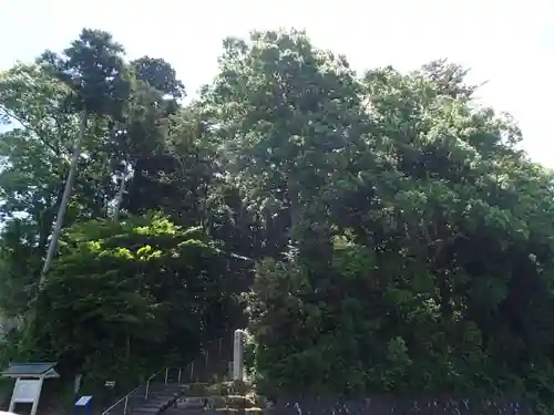 佐々牟志神社の自然