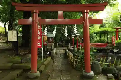 世田谷八幡宮(東京都)