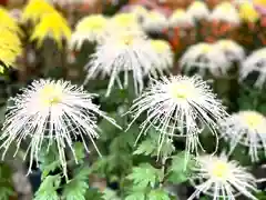 生島足島神社(長野県)