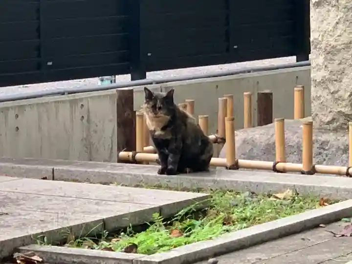 吉祥寺(東京都)