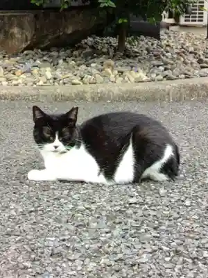 白金氷川神社(東京都)