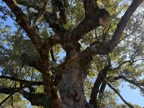 蒲生八幡神社の{uncategorized: "未分類", other: "その他", undefined: "問題あり", building: "その他建物", grave: "お墓", sacred_gate: "鳥居", guardian: "狛犬", statue: "像", buddha: "仏像", history: "歴史", nature: "自然", garden: "庭園", animal: "動物", pagoda: "塔", temizu: "手水舎", mountain_gate: "山門・神門", sanctuary: "本殿・本堂", subordinate: "末社・摂社", art: "芸術", scenery: "景色", jizo: "地蔵", ema: "絵馬", goshuin: "御朱印", omikuji: "おみくじ", items: "授与品その他", amulet: "お守り", goshuincho: "御朱印帳", eats: "食事", festival: "お祭り", votive_dance: "神楽", shichigosan: "七五三参", wedding: "結婚式", experience: "体験その他", initially: "初詣", around: "周辺", anti_infection: "感染症対策"}