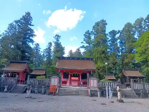 日吉神社の{uncategorized: "未分類", other: "その他", undefined: "問題あり", building: "その他建物", grave: "お墓", sacred_gate: "鳥居", guardian: "狛犬", statue: "像", buddha: "仏像", history: "歴史", nature: "自然", garden: "庭園", animal: "動物", pagoda: "塔", temizu: "手水舎", mountain_gate: "山門・神門", sanctuary: "本殿・本堂", subordinate: "末社・摂社", art: "芸術", scenery: "景色", jizo: "地蔵", ema: "絵馬", goshuin: "御朱印", omikuji: "おみくじ", items: "授与品その他", amulet: "お守り", goshuincho: "御朱印帳", eats: "食事", festival: "お祭り", votive_dance: "神楽", shichigosan: "七五三参", wedding: "結婚式", experience: "体験その他", initially: "初詣", around: "周辺", anti_infection: "感染症対策"}