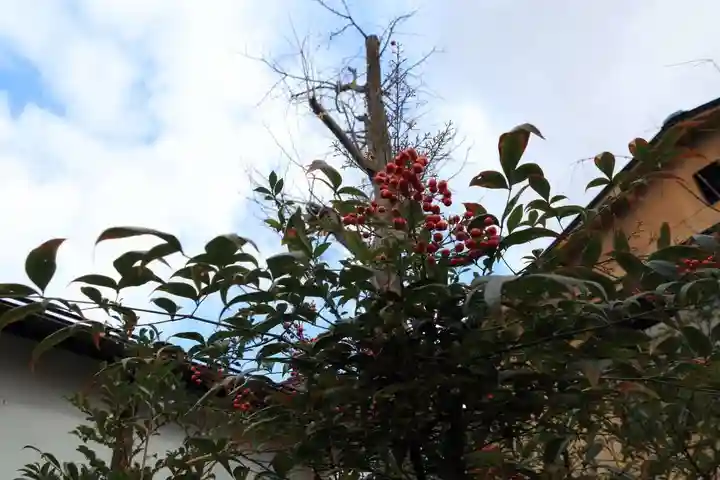 阿邪訶根神社の自然