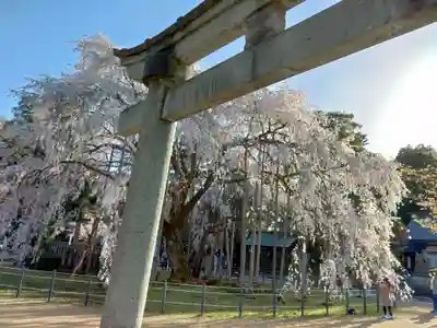 足羽神社(福井県)