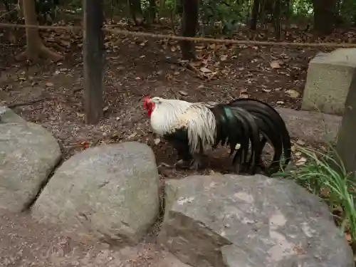 熱田神宮(愛知県)
