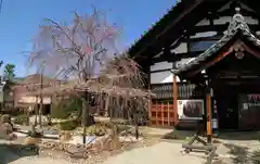 妙蓮寺(京都府)