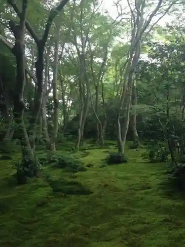 祇王寺の庭園