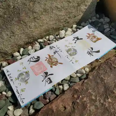 葉月二十四節気【芭蕉】