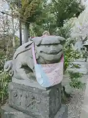 菊田神社の狛犬