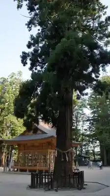 穂高神社本宮(長野県)