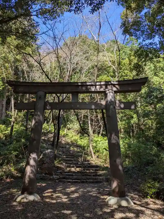 大縣神社(愛知県)