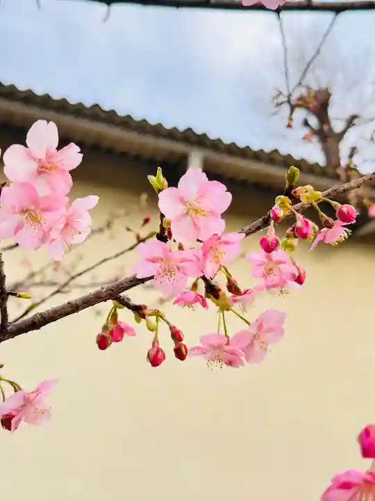 小野神社(東京都)
