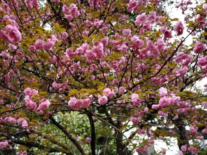 雄琴神社(栃木県)