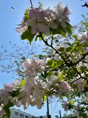 蓮華寺(福島県)