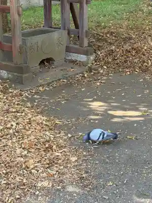 下石原八幡神社(東京都)