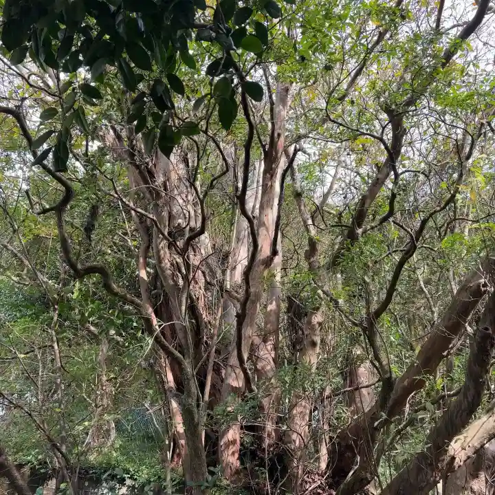 権現坂祠(神奈川県)