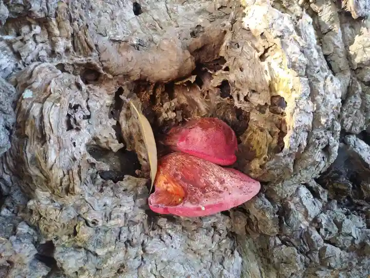 香取神社のその他建物