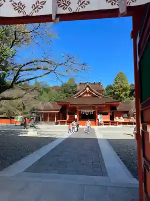 富士山本宮浅間大社(静岡県)