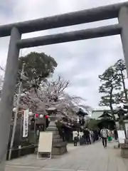 桜神宮の鳥居