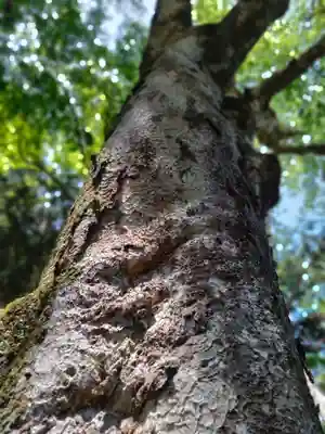 丹生川上神社（下社）(奈良県)