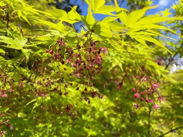 天台宗 五大山 白毫寺(兵庫県)