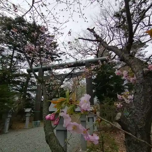 信濃神社の自然