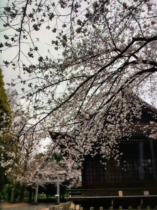熊野神社(東京都)