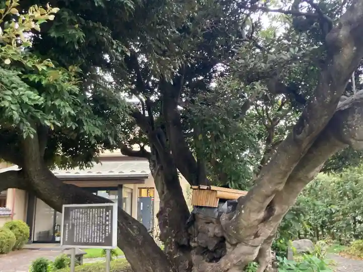 慈眼寺(神奈川県)