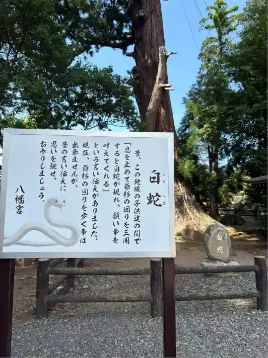 八幡宮(茨城県)