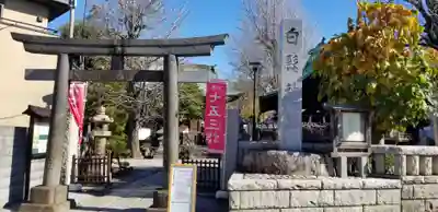 白髭神社の鳥居