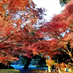 西見寺(静岡県)