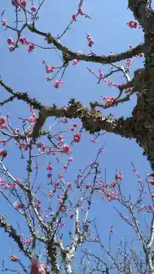 観心寺(大阪府)