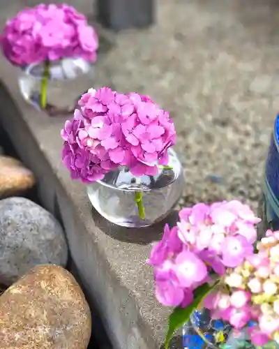 上尾御嶽神社の手水舎