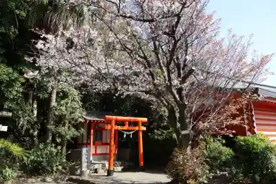 鵜戸稲荷神社(宮崎県)
