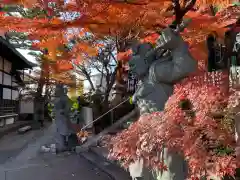 養玉院如来寺(東京都)