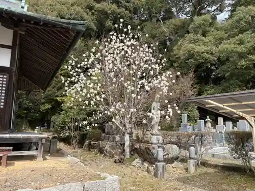 忍頂寺(大阪府)