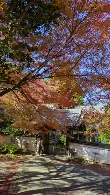 吟松寺(京都府)